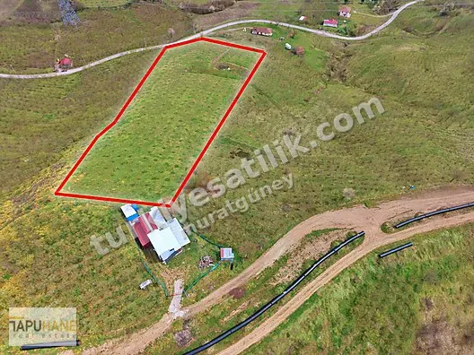 TAPUHANEDEN HENDEK ESKİBIÇKI Köyünde 12 Dönüm fındık bahcesi