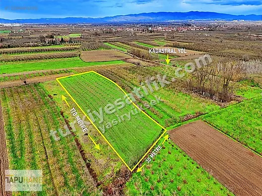 TAPUHANEDEN ÇAYIRBAŞINDA 4952M2 TARLA